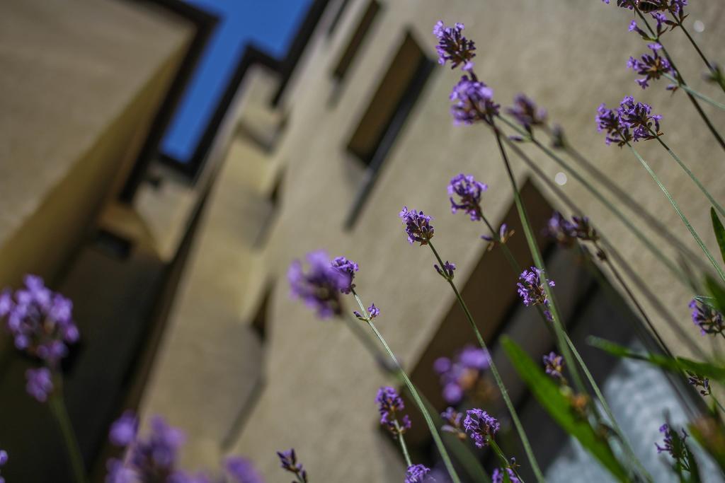 Hotel Five Seasons Fürth Extérieur photo